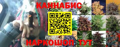 spice Коммунар