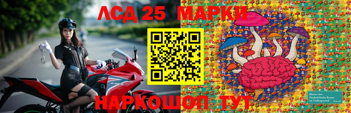 Марки NBOMe 1500мкг  Вход с VPN  Марки NBOMe 1500мкг  Каменск-Шахтинский 