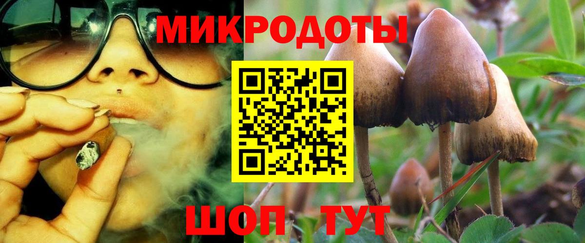 Каменск-Шахтинский  Галлюциногенные грибы Magic Shrooms  Вход с VPN 